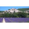 Guided tours "Time 4 Provence"