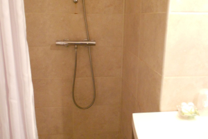 renovated bathroom with shower 